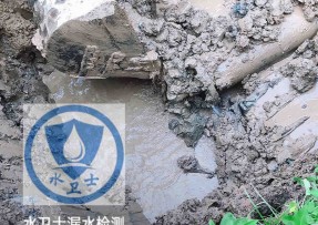 宏伟区水管漏水检测公司5